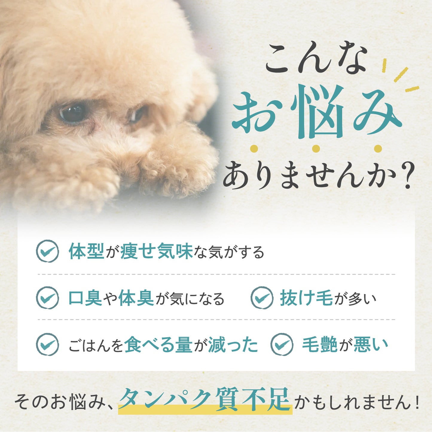 さかなまるごと天然だし (300g 1袋)